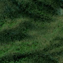 Satellite imagery of Williams Mine, US