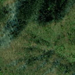 Satellite imagery of Williams Mine, US