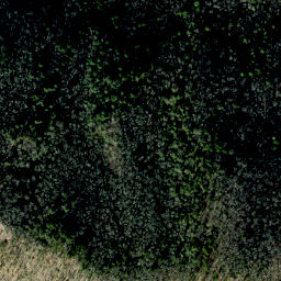 Satellite imagery of Lovers Leap Ridge, US