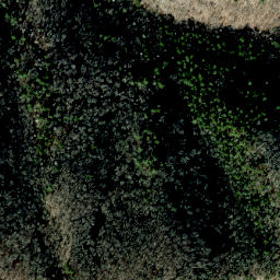 Satellite imagery of Lovers Leap Ridge, US