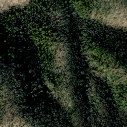 Satellite imagery of Lovers Leap Ridge, US