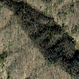 Satellite imagery of Turkeypen Ridge, US