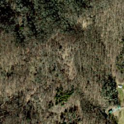 Satellite imagery of Grapevine Ridge, US