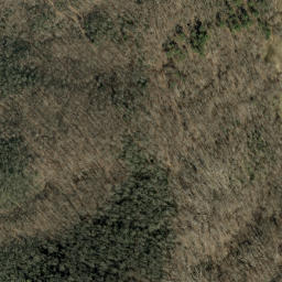 Satellite imagery of Rattlesnake Ridge, US