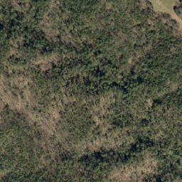 Satellite imagery of Rose Mountain, US