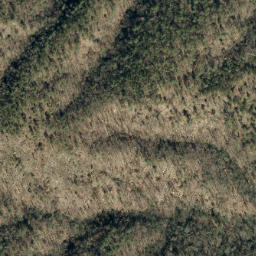 Satellite imagery of Rose Mountain, US