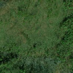 Satellite imagery of Bry Fork Prospect, US
