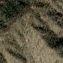 Satellite imagery of Appletree Ridge, US