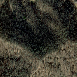 Satellite imagery of Grapevine Ridge, US