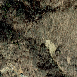 Satellite imagery of Grapevine Ridge, US