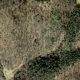 Satellite imagery of Grapevine Ridge, US