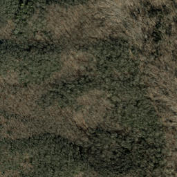 Satellite imagery of Rattlesnake Ridge, US