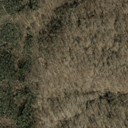 Satellite imagery of Rattlesnake Ridge, US