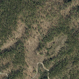 Satellite imagery of Rose Mountain, US