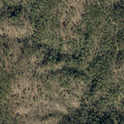 Satellite imagery of Rose Mountain, US