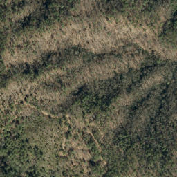 Satellite imagery of Rose Mountain, US