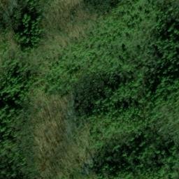 Satellite imagery of Canebrake Ridge, US