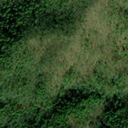 Satellite imagery of Canebrake Ridge, US