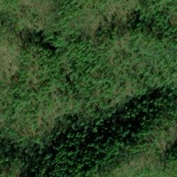 Satellite imagery of Canebrake Ridge, US