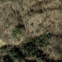 Satellite imagery of Appletree Ridge, US