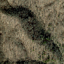 Satellite imagery of Appletree Ridge, US