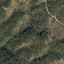 Satellite imagery of Rose Mountain, US