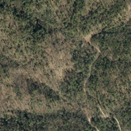 Satellite imagery of Rose Mountain, US