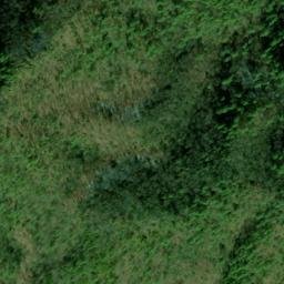 Satellite imagery of Canebrake Ridge, US