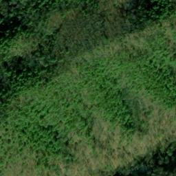 Satellite imagery of Canebrake Ridge, US