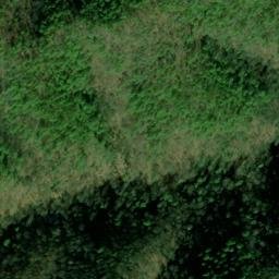 Satellite imagery of Canebrake Ridge, US