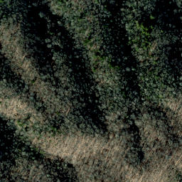 Satellite imagery of Dry Pond Ridge, US
