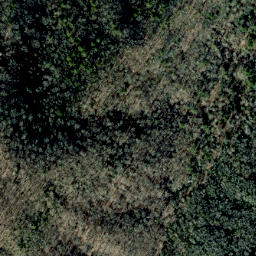 Satellite imagery of Dry Pond Ridge, US