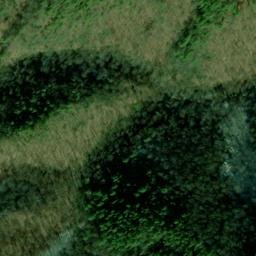 Satellite imagery of Canebrake Ridge, US