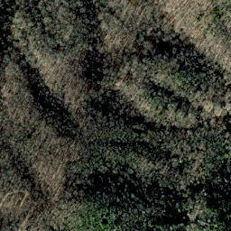 Satellite imagery of Dry Pond Ridge, US