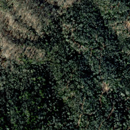 Satellite imagery of Dry Pond Ridge, US