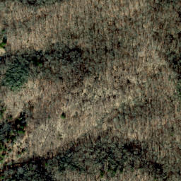 Satellite imagery of Dan Knob Ridge, US