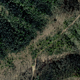 Satellite imagery of Dry Pond Ridge, US