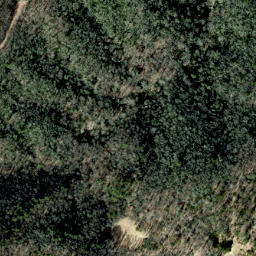 Satellite imagery of Dry Pond Ridge, US