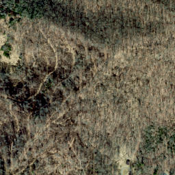 Satellite imagery of Dan Knob Ridge, US