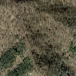 Satellite imagery of Dan Knob Ridge, US