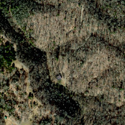 Satellite imagery of Lisenbee Ridge, US
