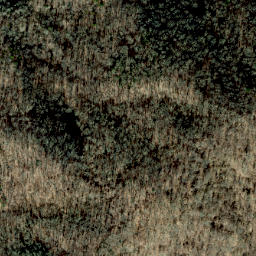 Satellite imagery of Lisenbee Ridge, US