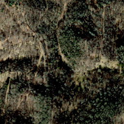 Satellite imagery of Lisenbee Ridge, US