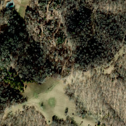 Satellite imagery of Lisenbee Ridge, US
