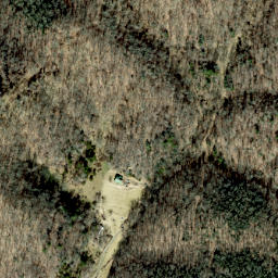 Satellite imagery of Lisenbee Ridge, US