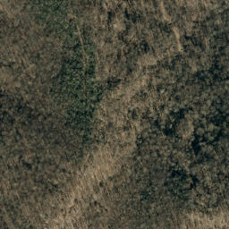 Satellite imagery of Turkey Ridge, US