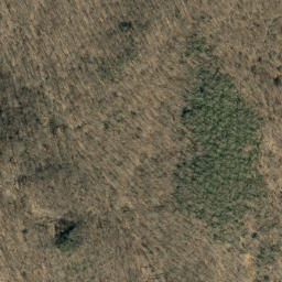 Satellite imagery of Turkey Ridge, US