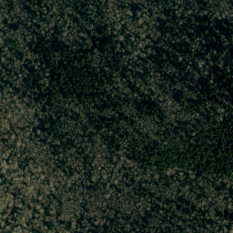 Satellite imagery of Grassy Knob Ridge, US