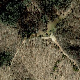 Satellite imagery of Lisenbee Ridge, US