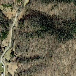 Satellite imagery of Lisenbee Ridge, US